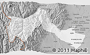 Gray 3D Map of Lujan