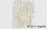 Shaded Relief 3D Map of Minas, lighten