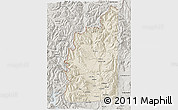 Shaded Relief 3D Map of Minas, semi-desaturated