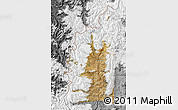 Satellite Map of Minas, desaturated