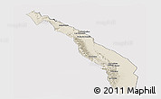 Shaded Relief Panoramic Map of Valle Fertil, cropped outside