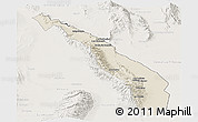 Shaded Relief Panoramic Map of Valle Fertil, lighten