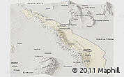 Shaded Relief Panoramic Map of Valle Fertil, semi-desaturated