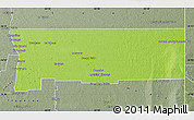 Physical Map of Alberdi, semi-desaturated