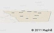 Shaded Relief Panoramic Map of General Taboada, lighten