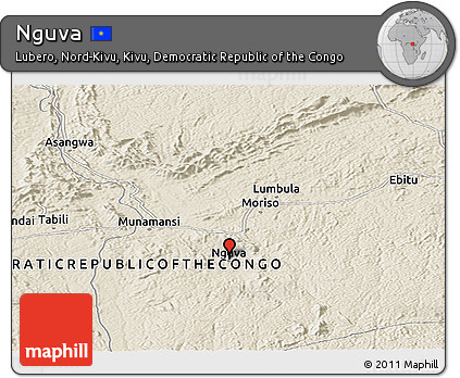 Shaded Relief Panoramic Map of Nguva