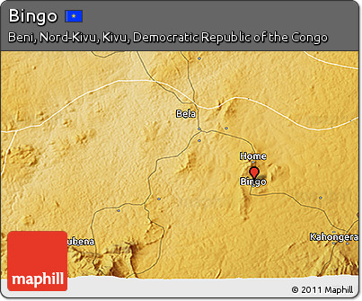 Physical 3D Map of Bingo