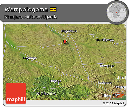 Satellite Panoramic Map of Wampologoma