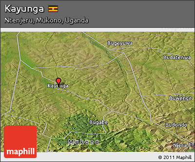 Satellite Panoramic Map of Kayunga