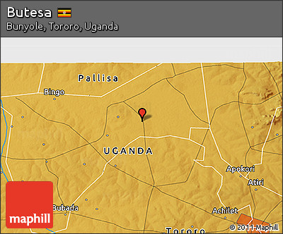 Physical 3D Map of Butesa