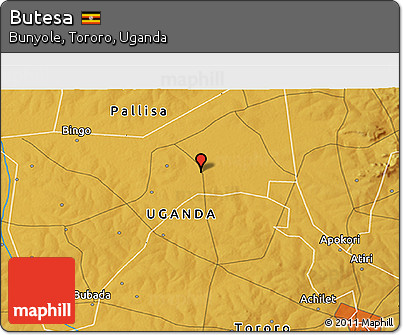 Physical 3D Map of Butesa