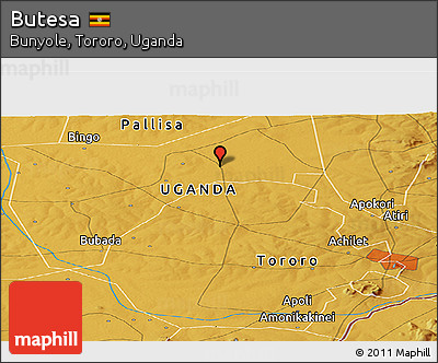 Physical Panoramic Map of Butesa