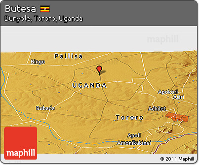 Physical Panoramic Map of Butesa