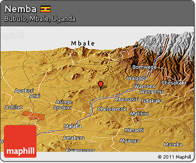 Physical Panoramic Map of Nemba