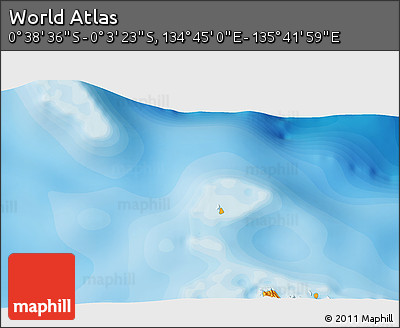 Political 3D Map of the Area around 0° 21' 0" S, 135° 13' 29" E