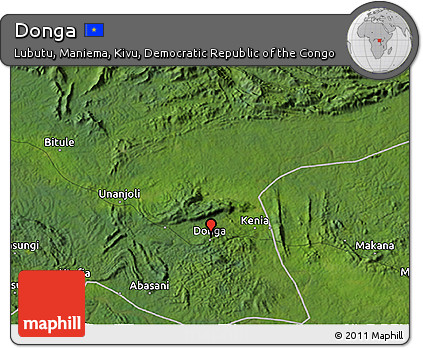 Satellite 3D Map of Donga