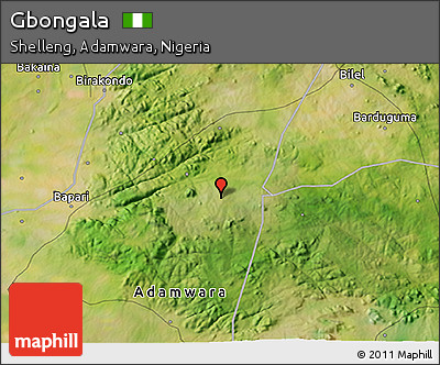 Satellite 3D Map of Gbongala