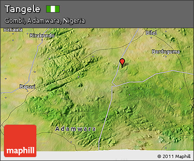Satellite 3D Map of Tangele