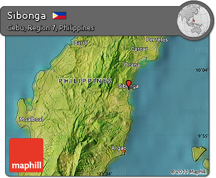 Satellite Map of Sibonga