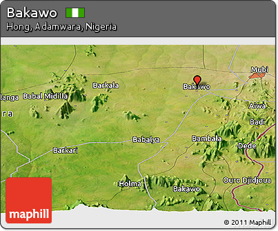 Satellite Panoramic Map of Bakawo