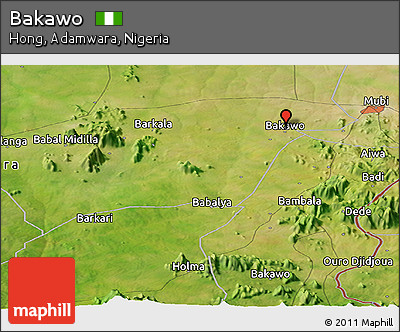 Satellite Panoramic Map of Bakawo