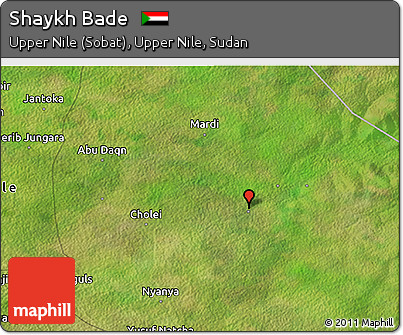 Satellite 3D Map of Shaykh Bade
