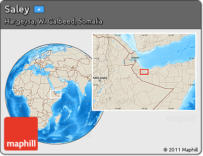 Shaded Relief Location Map of Saley