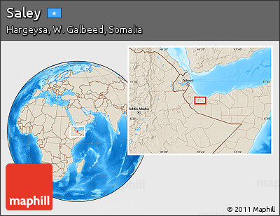 Shaded Relief Location Map of Saley