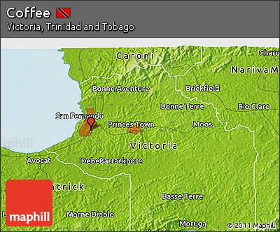 Physical 3D Map of Coffee
