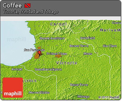 Physical 3D Map of Coffee