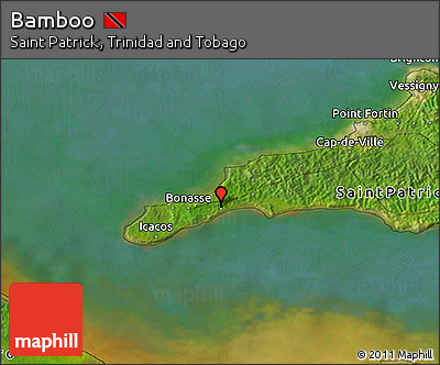 Satellite 3D Map of Bamboo