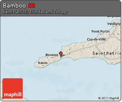 Shaded Relief 3D Map of Bamboo