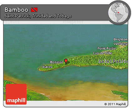 Satellite Panoramic Map of Bamboo