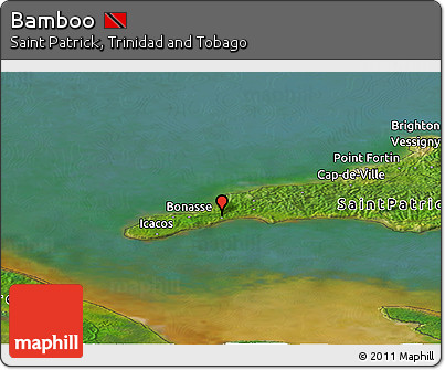 Satellite Panoramic Map of Bamboo