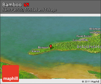 Satellite Panoramic Map of Bamboo