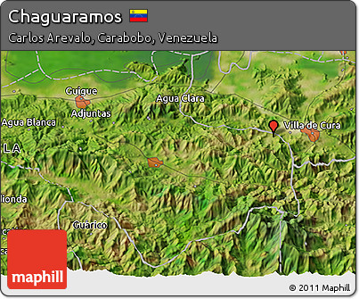 Satellite 3D Map of Chaguaramos