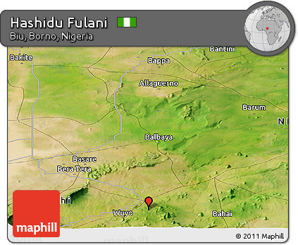 Satellite Panoramic Map of Hashidu Fulani