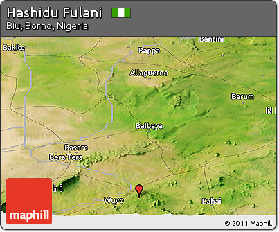 Satellite Panoramic Map of Hashidu Fulani
