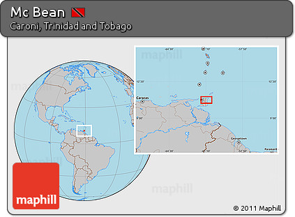 Gray Location Map of Mc Bean