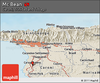 Shaded Relief Panoramic Map of Mc Bean