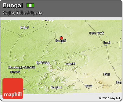 Physical Panoramic Map of Bungai