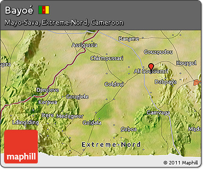 Satellite 3D Map of Bayoé