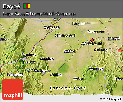 Satellite 3D Map of Bayoé