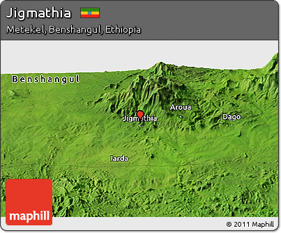 Satellite Panoramic Map of Jigmathia