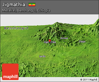 Satellite Panoramic Map of Jigmathia
