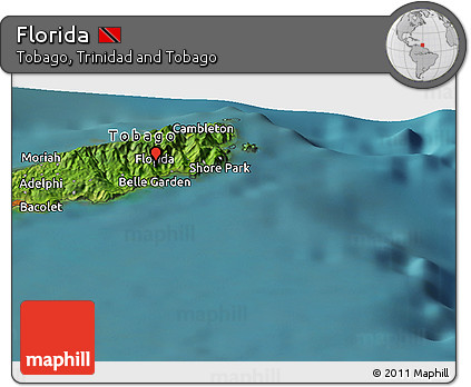 Satellite Panoramic Map of Florida