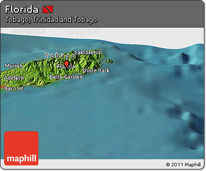 Satellite Panoramic Map of Florida