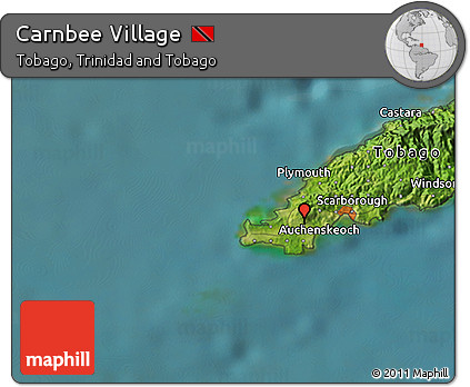 Satellite 3D Map of Carnbee Village
