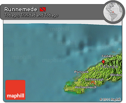 Satellite 3D Map of Runnemede