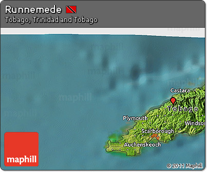 Satellite 3D Map of Runnemede